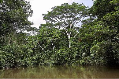 本周Fami通游戏评分出炉 《女神异闻录5：战略版》获33分